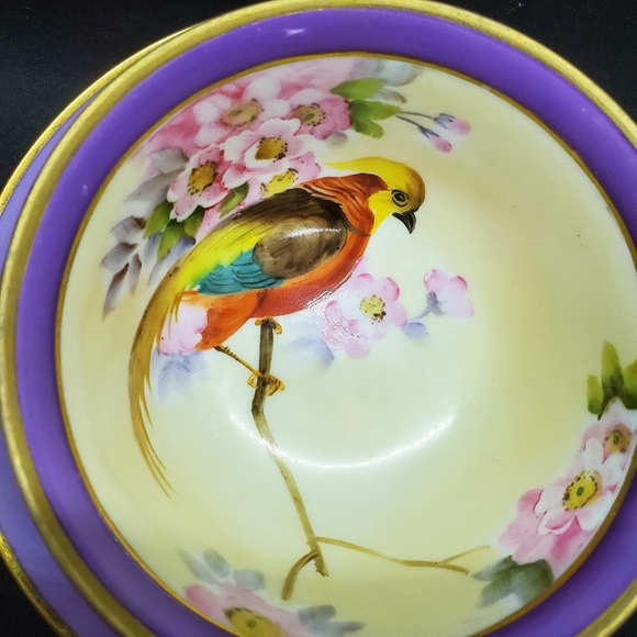 Handpainted Noritake Teacup and Saucer Stunning Unique Gorgeous 😍 - Picture 3 of 10